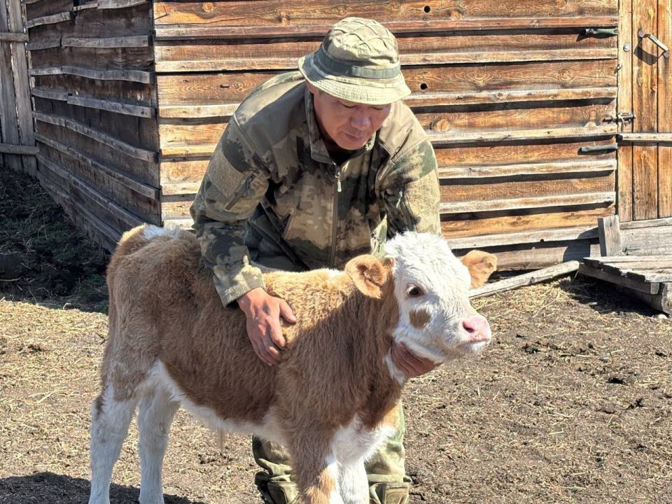 Бывший участник спецоперации Эдуард Халудоров после возвращения в Бурятию стал фермером