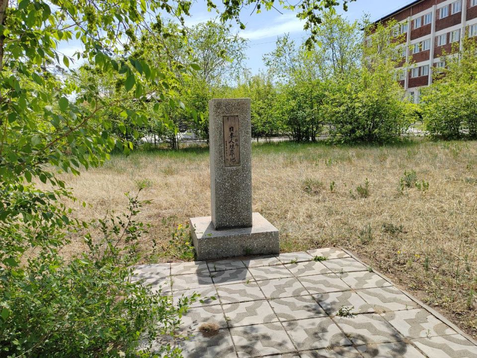 Впервые в истории Японии правительство возглавила женщина