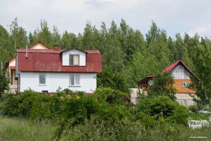 Как защитить мир на даче: эффективные стратегии против шумных соседей