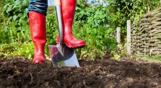 Почему лопата — это не обязательно: инновационные подходы к осенней обработке почвы