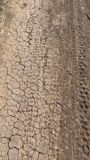 Сбор на 10-й взвод штурмовиков, разведчиков и танкистов действующих на Южно-Днепропетровском направлении