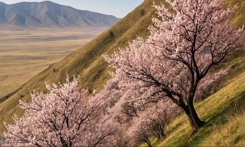 Тайны родных мест. Узнай Бурятию