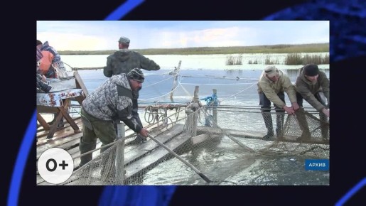 «Лимузины» в Истоке. Фестиваль «БайкалАгро» пройдет в Улан-Удэ