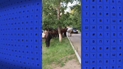 Панки в Улан-Удэ и «тернистый» путь из Нижнего Саянтуя