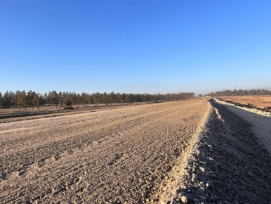 Людей и свиней осчастливят новой дорогой