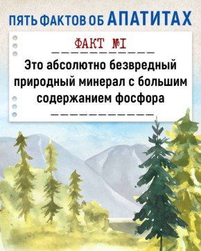 Вся правда об апатитах. В последнее время не утихают разговоры по поводу месторождения апатитов в Ошурково