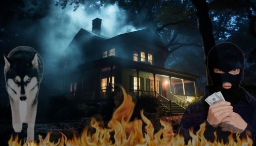 Жизнь за городом: страхи, о которых редко говорят