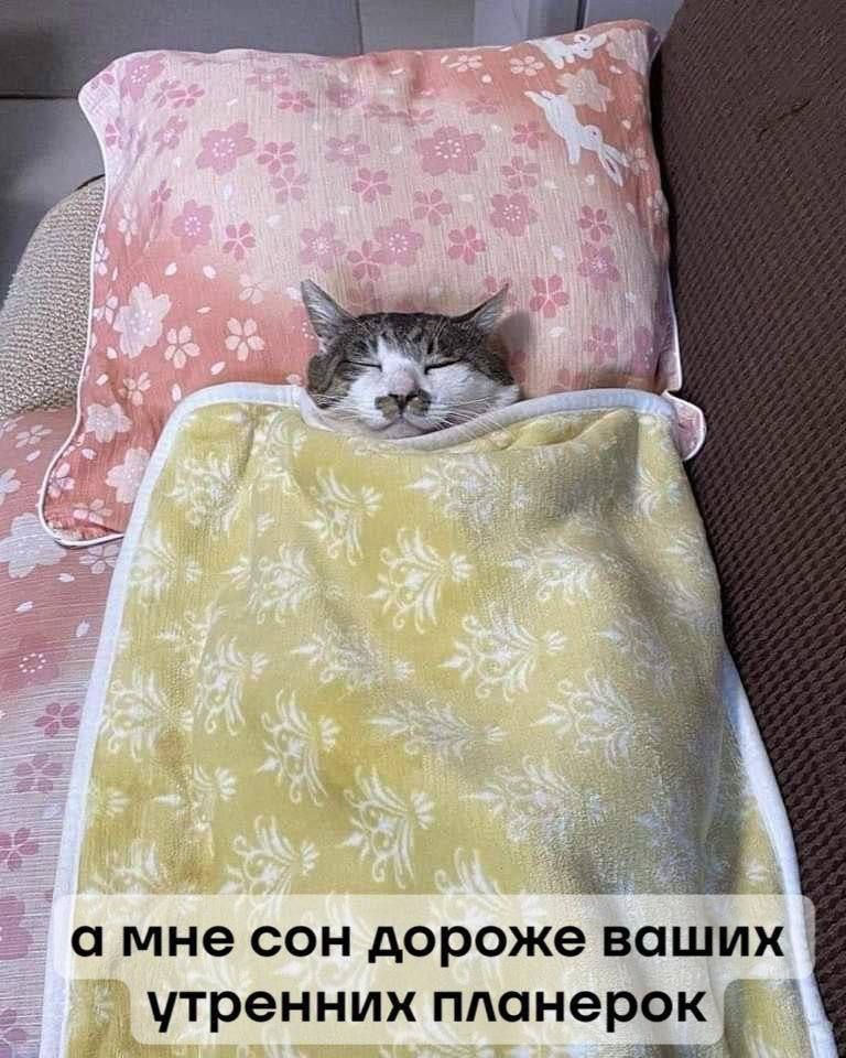 Доброе утро) Всех с пятницей)