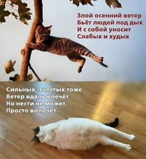 Доброе субботнее утро. Сегодня в республике ожидается ветреная погода