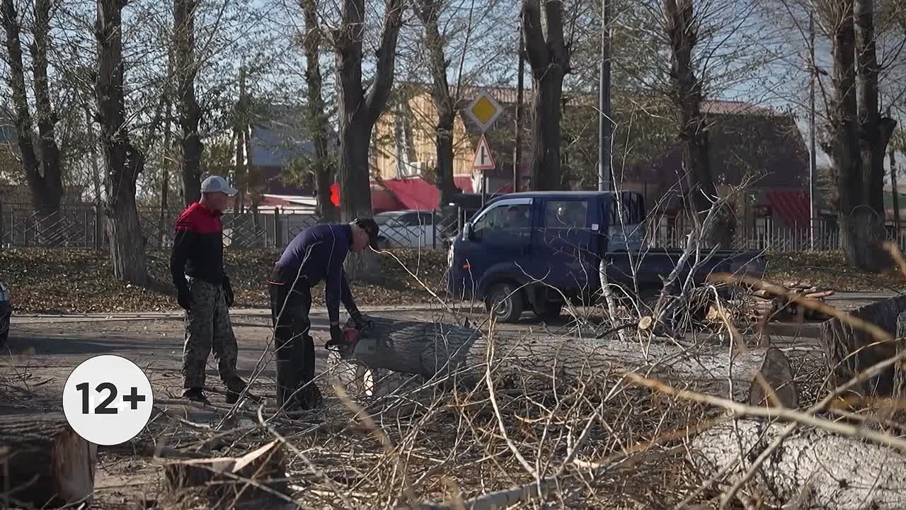 Город 3012. Что ждёт наших телезрителей 26 октября?