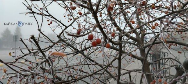 Доброго воскресного утра!. По данным Бурятского гидрометцентра, 26 октября по республике ожидается переменная облачность, преимущественно без осадков