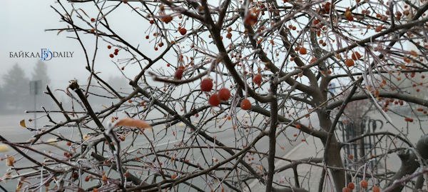Доброго воскресного утра!. По данным Бурятского гидрометцентра, 26 октября по республике ожидается переменная облачность, преимущественно без осадков