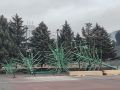 Ледовый городок этой зимы пройдет под знаком «Путешествие на Байкал»