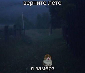 Доброе утро). 27 октября по республике днём ожидается переменная облачность, без осадков