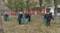 Сотрудники МБУ «Городское лесничество» и студенты Улан-Удэнского колледжа железнодорожного транспорта убрали крупную листву в бульваре «Сиреневый» в рамках месячника чистоты