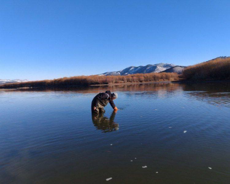 Ученые оценили качество вод Селенги: в реке обнаружено значительное бактериальное загрязнение