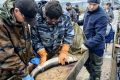 На рыбоводном хозяйстве в Гусиноозерске обеспечили будущее байкальскому осетру