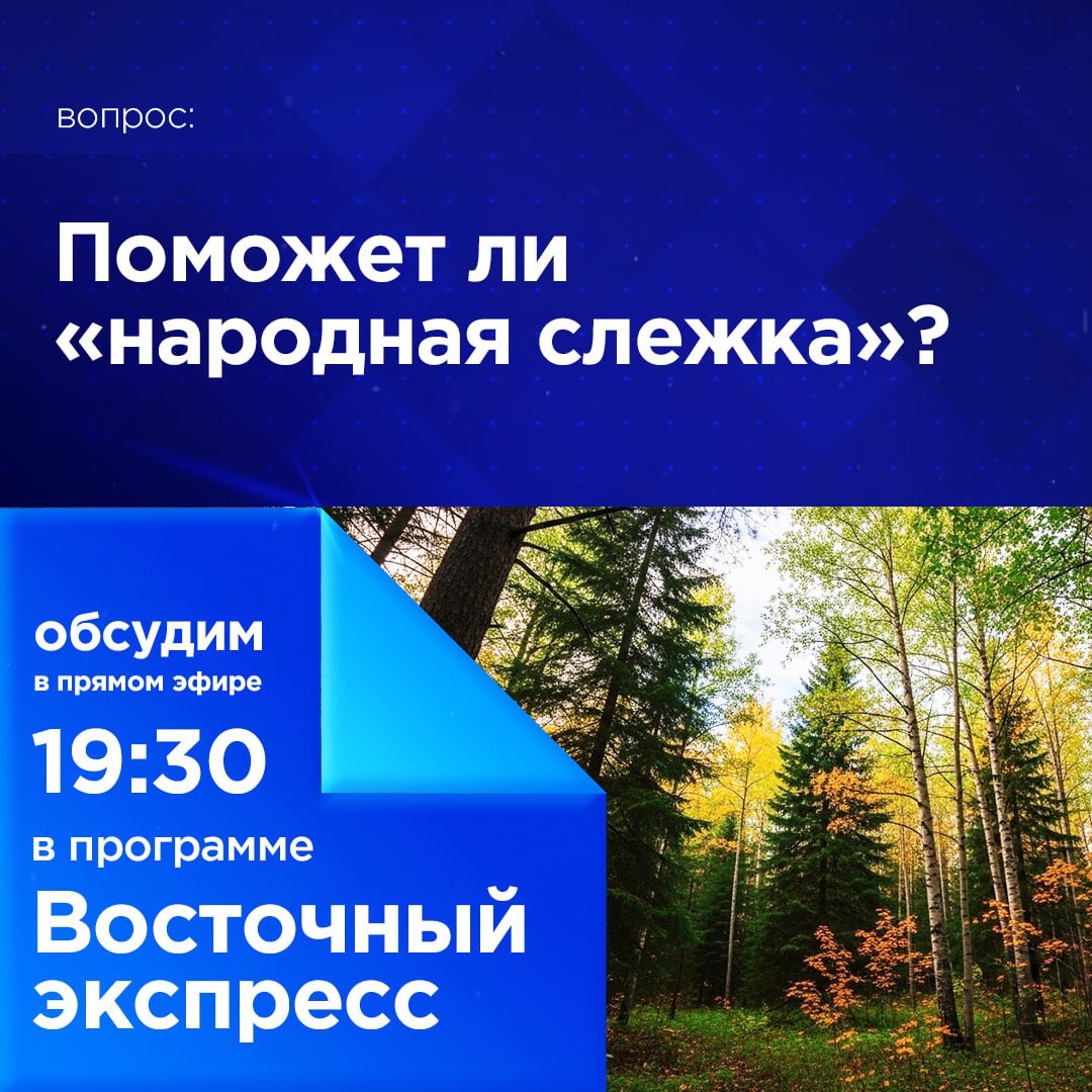 Поможет ли «народная слежка»?
