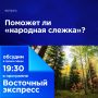 Поможет ли «народная слежка»?