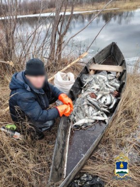 В Северобайкальском районе полицейскими изъято более 230 особей омуля
