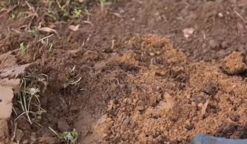 Повышение урожайности через коррекцию кислотности почвы