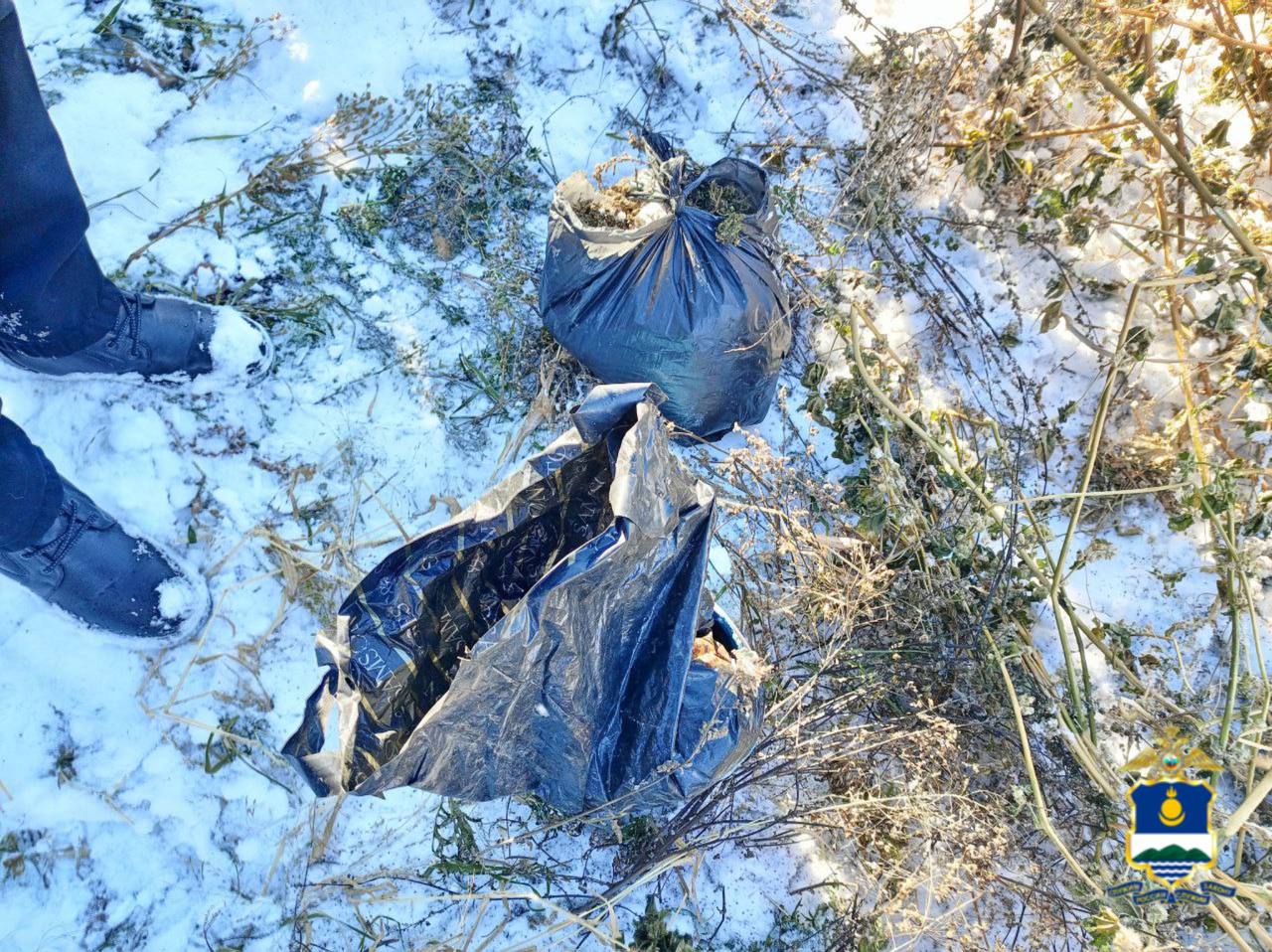 Полицейские Курумканского района изъяли из незаконного оборота более 200 граммов марихуаны Полицейские Курумканского района изъяли из незаконного оборота более 200 граммов марихуаны