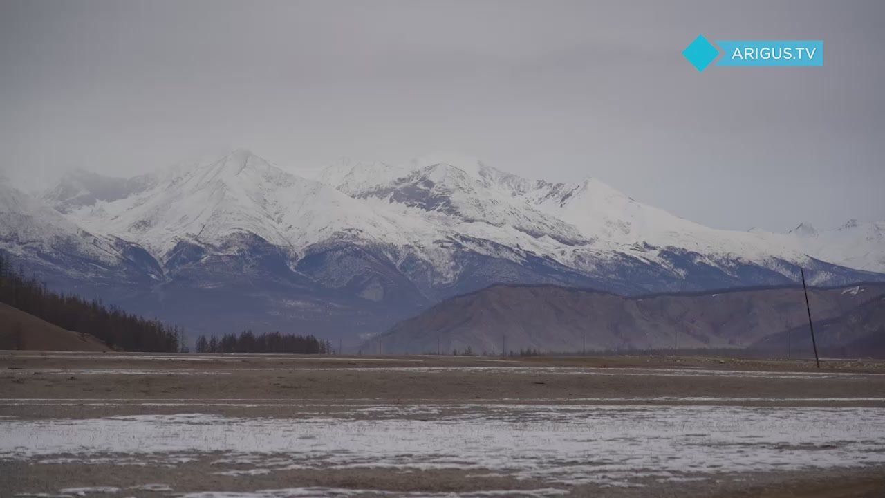 Почему бензин дорожает и местами пропадает, объяснили в Минпромторге Бурятии