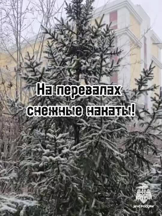 В Бурятии за сутки:. Огнеборцами республики ликвидировано 8 загораний