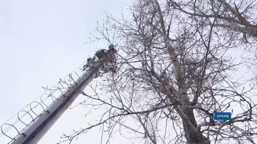 Рост пенсий, взыскание налогов и лимит на «симки»