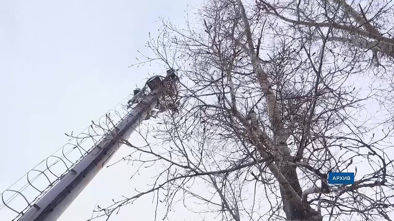 Рост пенсий, взыскание налогов и лимит на «симки»