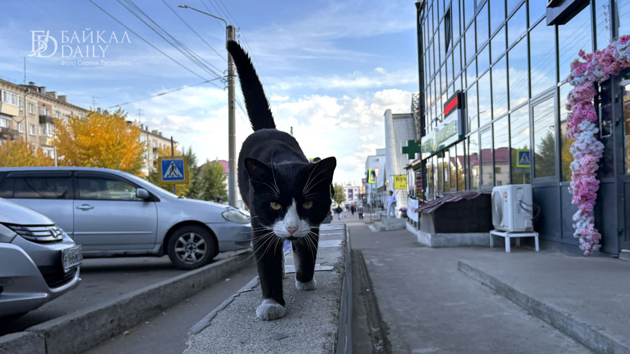 Прогулки по Улан-Удэ. Октябрь 2025 Прогулки по Улан-Удэ. Октябрь 2025