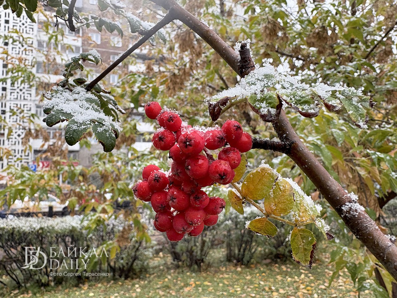Прогулки по Улан-Удэ. Октябрь 2025 Прогулки по Улан-Удэ. Октябрь 2025