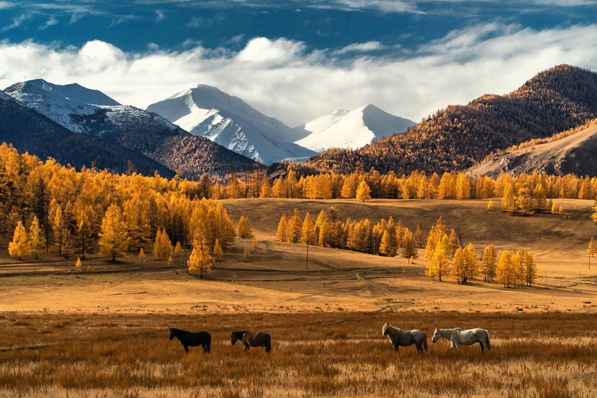 Про Бурятию туристическую. Часть первая Про Бурятию туристическую. Часть первая