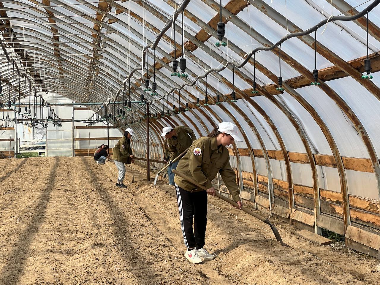 Молодые ученые помогают развивать агропроект в районе Бурятии Молодые ученые помогают развивать агропроект в районе Бурятии