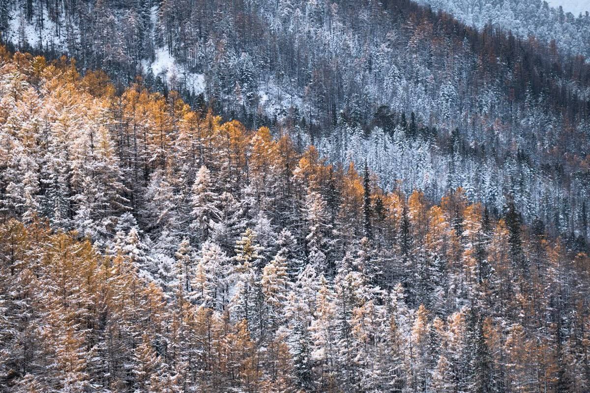 Про Бурятию туристическую. Часть первая Про Бурятию туристическую. Часть первая