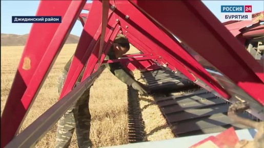 В Бурятии полным ходом идёт кормозаготовительная кампания, которую осложнили условия режима ЧС из-за летней засухи