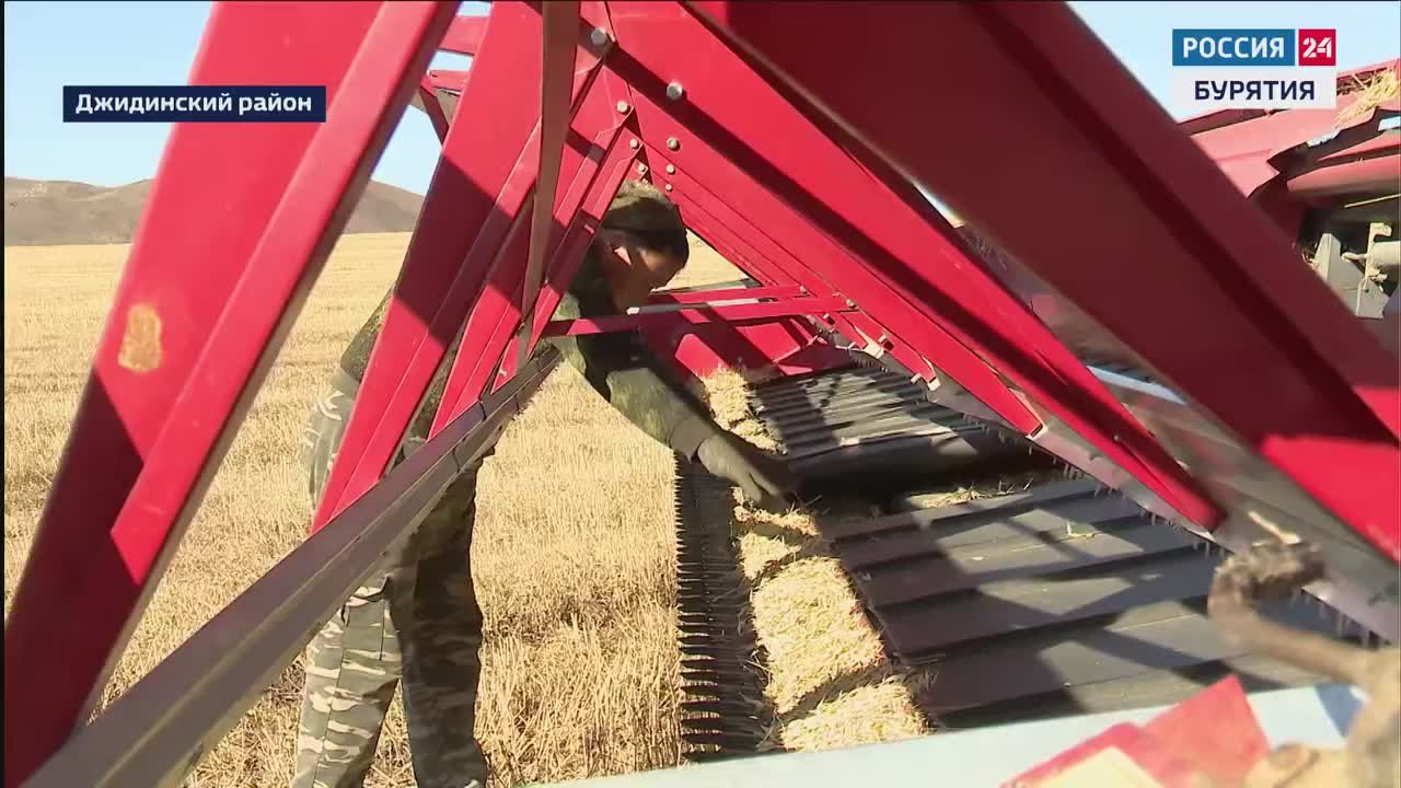 В Бурятии полным ходом идёт кормозаготовительная кампания, которую осложнили условия режима ЧС из-за летней засухи