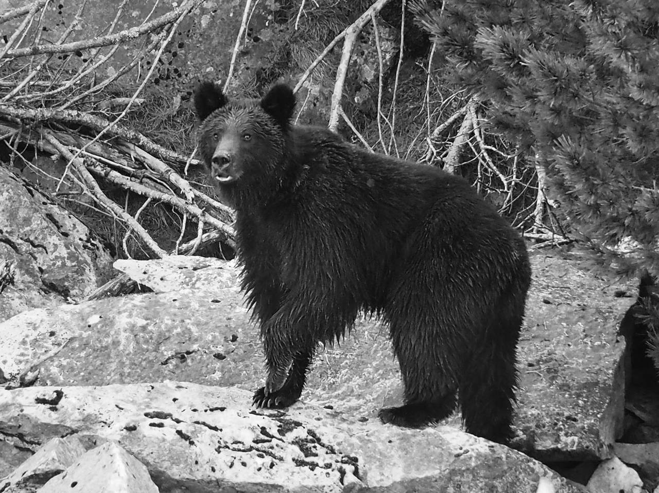 В Улан-Удэ пройдёт выставка известного фотографа Сергея Тарасенко В Улан-Удэ пройдёт выставка известного фотографа Сергея Тарасенко