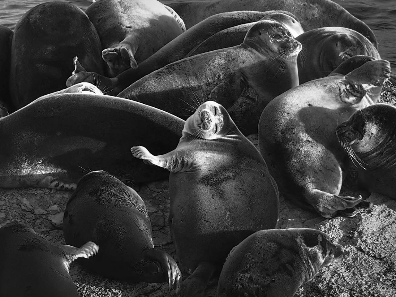 В Улан-Удэ пройдёт выставка известного фотографа Сергея Тарасенко В Улан-Удэ пройдёт выставка известного фотографа Сергея Тарасенко