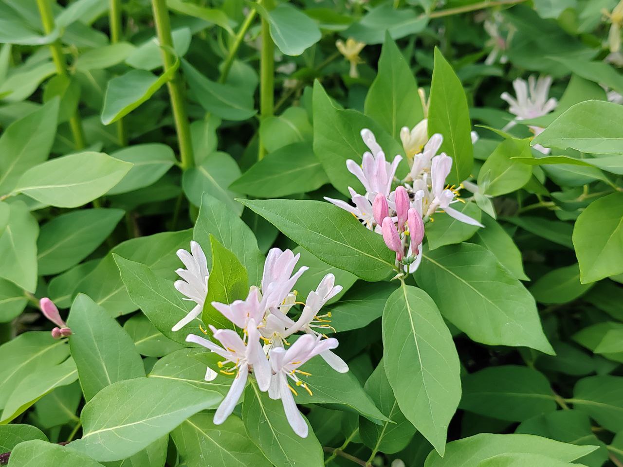 Пока кто-то борется с вейпами, всем зумерам на Мальдивах запретили курить