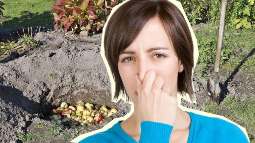 Неприятный запах компостной ямы сразу исчезнет: спасением станет один порошок с кухни