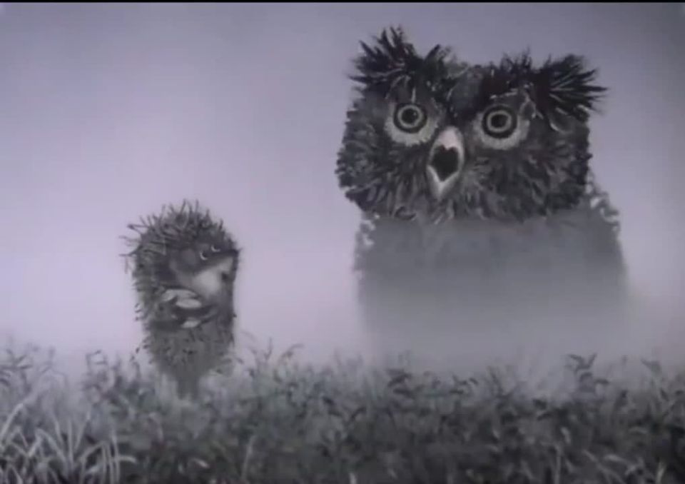 Видимость ноль - внимание максимум