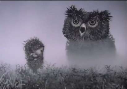 Видимость ноль - внимание максимум