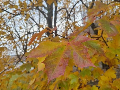 Юрий Николаев, легендарный телеведущий, ушел из жизни
