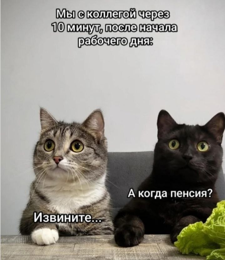 Доброе утро). 6 ноября по республике: переменная облачность, ночью местами небольшой снег, днём преимущественно без осадков