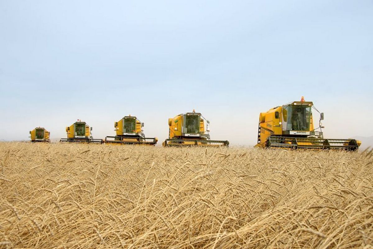 Прощай, картошка из Монголии - соседняя страна пострадала от засухи