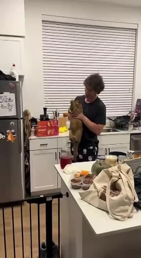 В соцсетях завирусилось видео с рыжим котом, который сражался за украденную курицу Он даже врубил режим Росомахи - скрестил лапы и выпустил когти