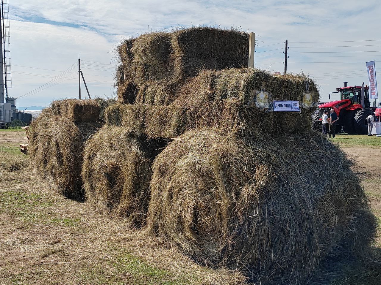 В канун Года лошади Бурятия озвучила планы по промышленному коневодству В канун Года лошади Бурятия озвучила планы по промышленному коневодству