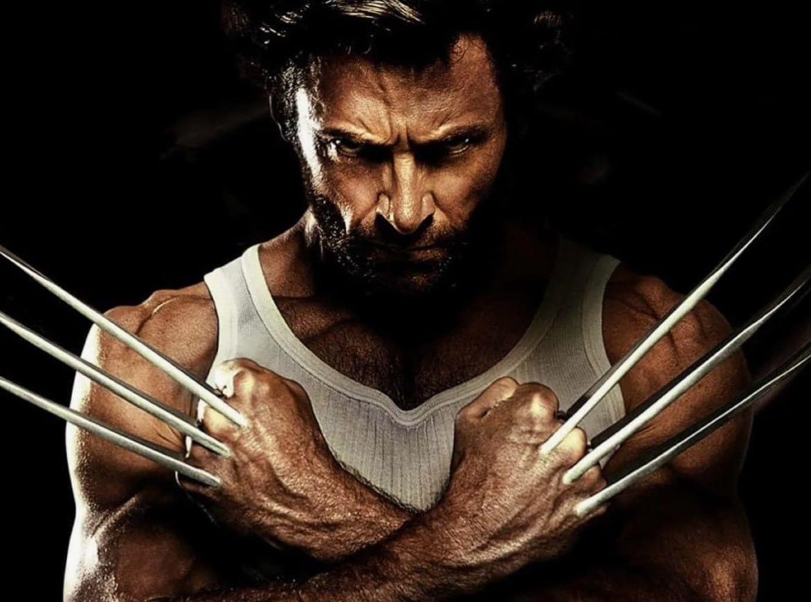 В соцсетях завирусилось видео с рыжим котом, который сражался за украденную курицу Он даже врубил режим Росомахи - скрестил лапы и выпустил когти В соцсетях завирусилось видео с рыжим котом, который сражался за украденную курицу Он даже врубил режим Росомахи - скрестил лапы и выпустил когти