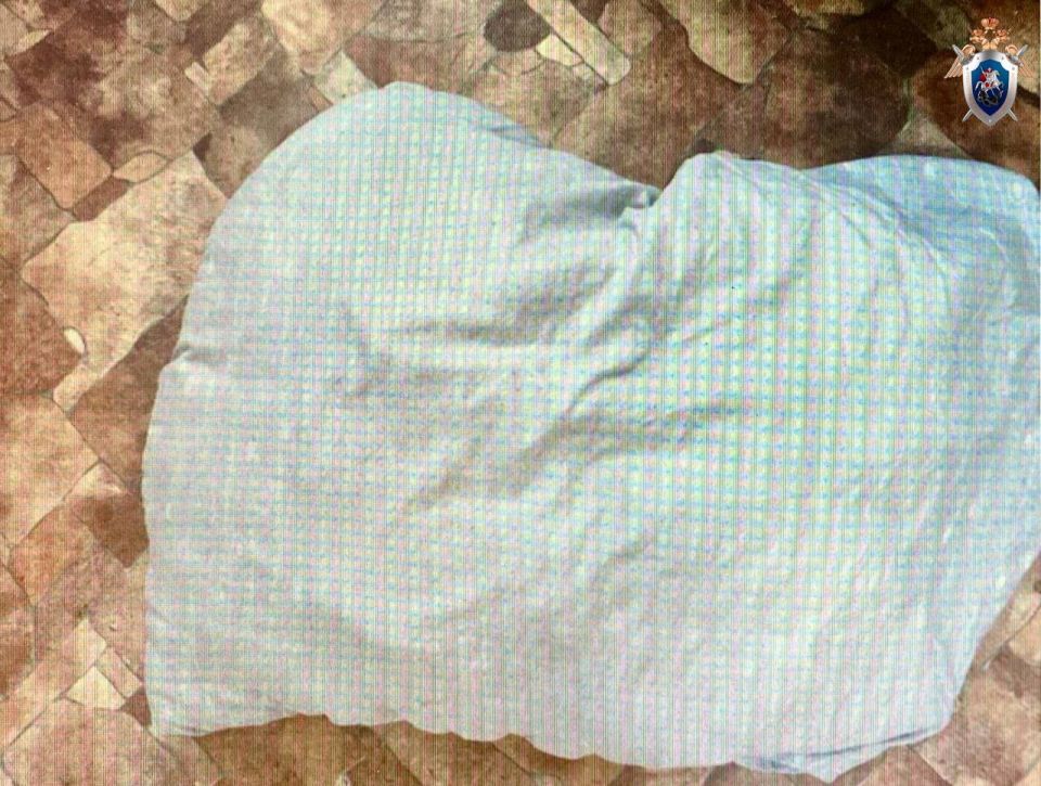 28-летний молодой человек задушил свою 40-летнюю сожительницу